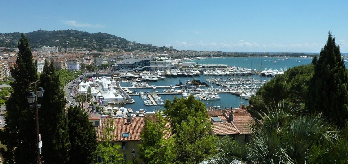 cannes guide |