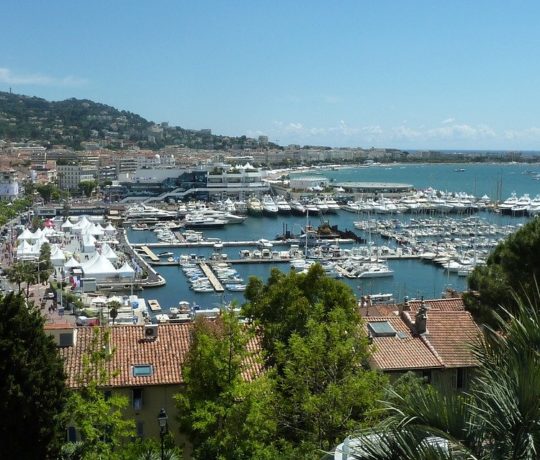 cannes guide |
