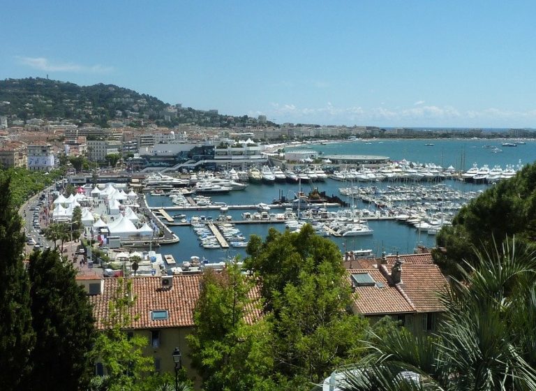 cannes guide |