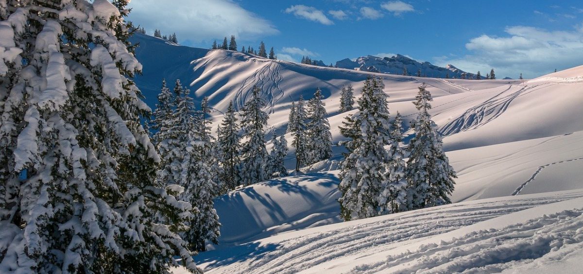 Besoin d'un chauffeur pour vous amener en station de ski ?