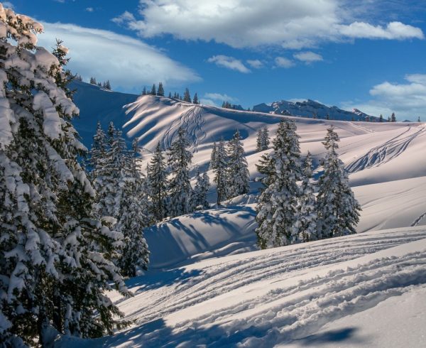 Besoin d'un chauffeur pour vous amener en station de ski ?