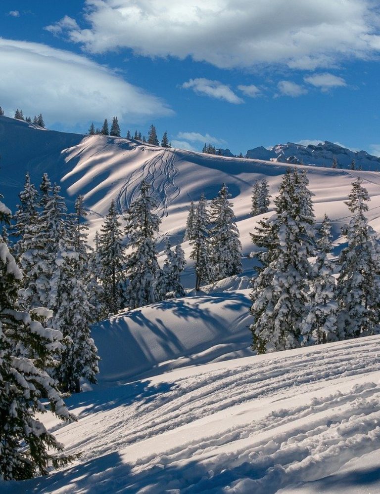 Besoin d'un chauffeur pour vous amener en station de ski ?