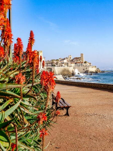 Les spots incontournables en vacances à Antibes2 |