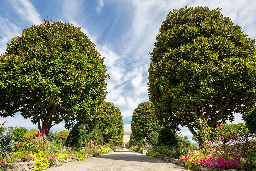 le Jardin des Arènes de Cimiez |