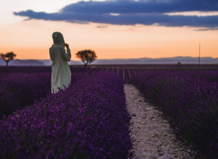 luberon 1 |