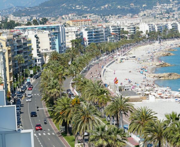La-Croisette-french-riviera-illustrious-promenade