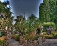 Monaco’s-exotic-garden-a-privileged-escape-into-botanical-excellence