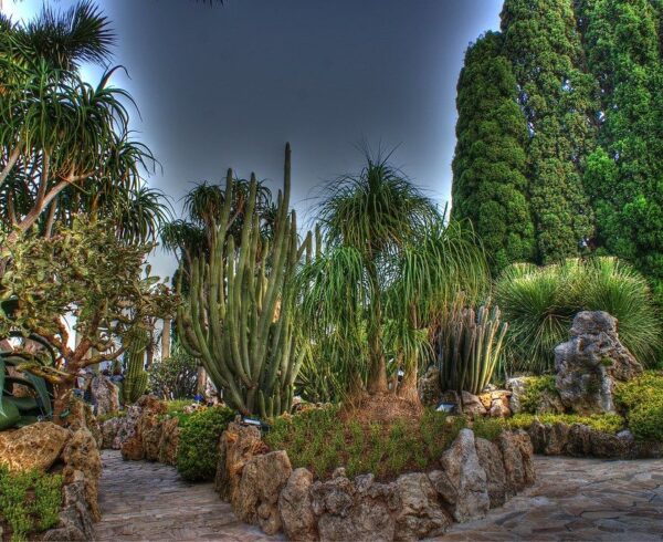 Monaco’s-exotic-garden-a-privileged-escape-into-botanical-excellence