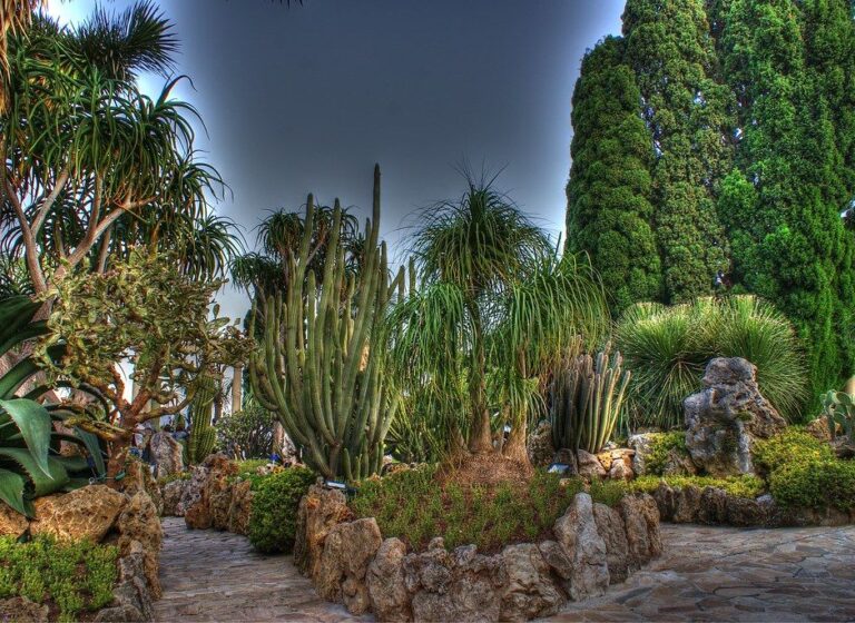 Monaco’s-exotic-garden-a-privileged-escape-into-botanical-excellence