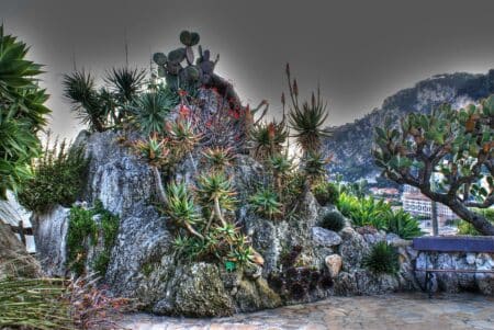 Descubrir-un-jardín-único-de-distinción-global